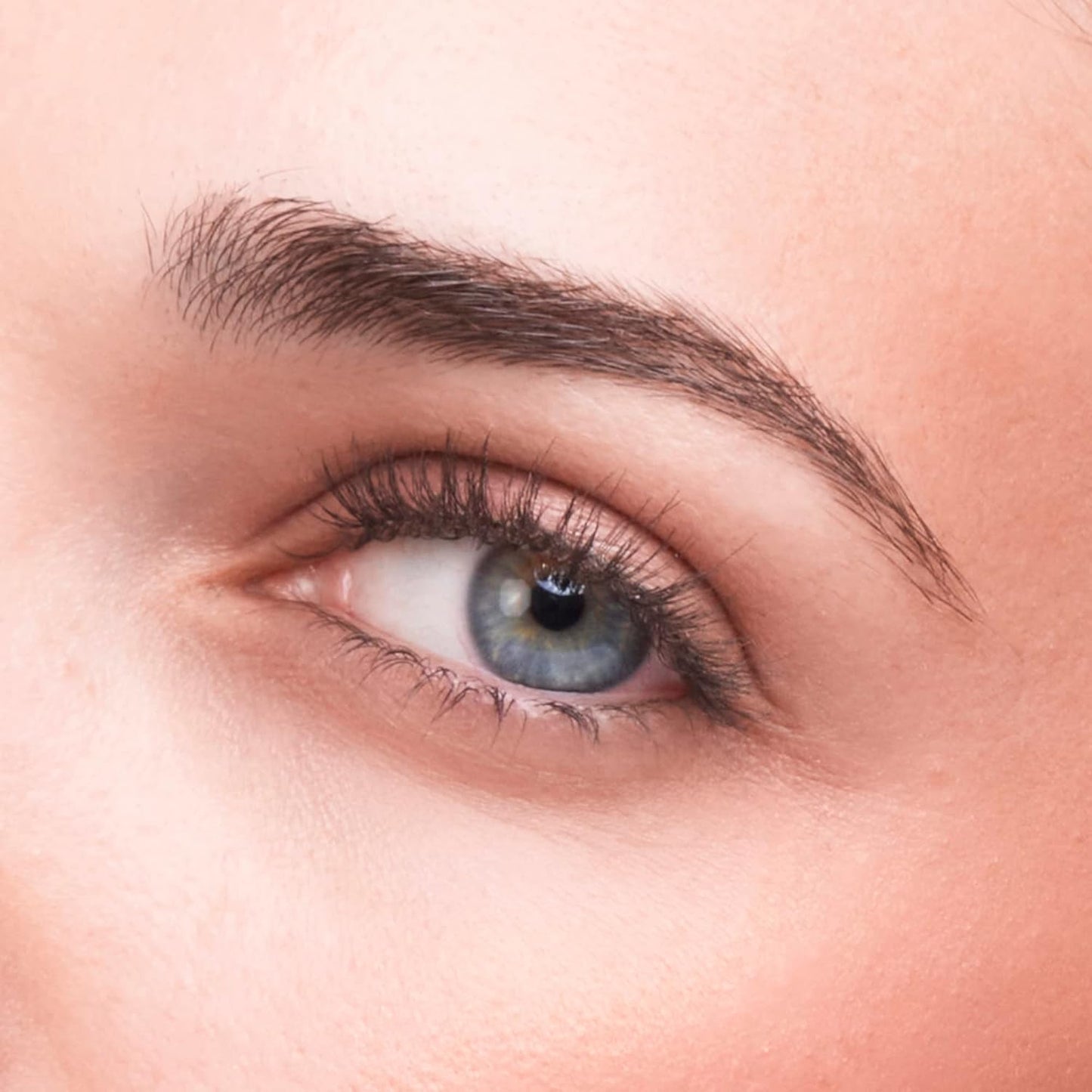 HALEYS Crease Eyeshadow Brush, Medium Fluffy Tapered Brush, Soft, Easy Blending Makeup Tool, Seamless, Multi-tasking Makeup Brush for Cream and Powder, High-end Synthetic Bristles, Vegan + CF