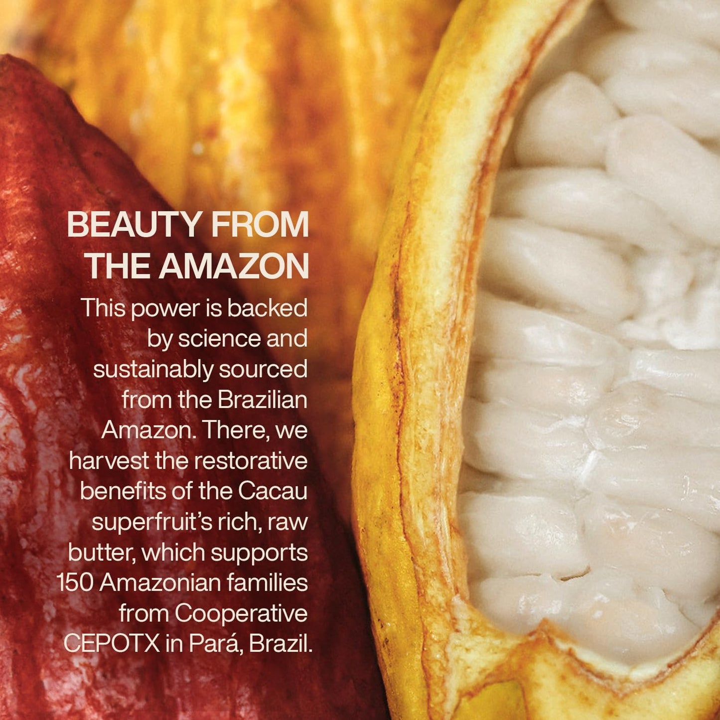 natura Ekos Cacau Lip Balm - Hydrated & Restored Lips - 48h Long-last Effect - Protects From External Aggressors - Vegan - Brazilian Beauty Secrets - Self Care - 0.12 oz (3.5g)