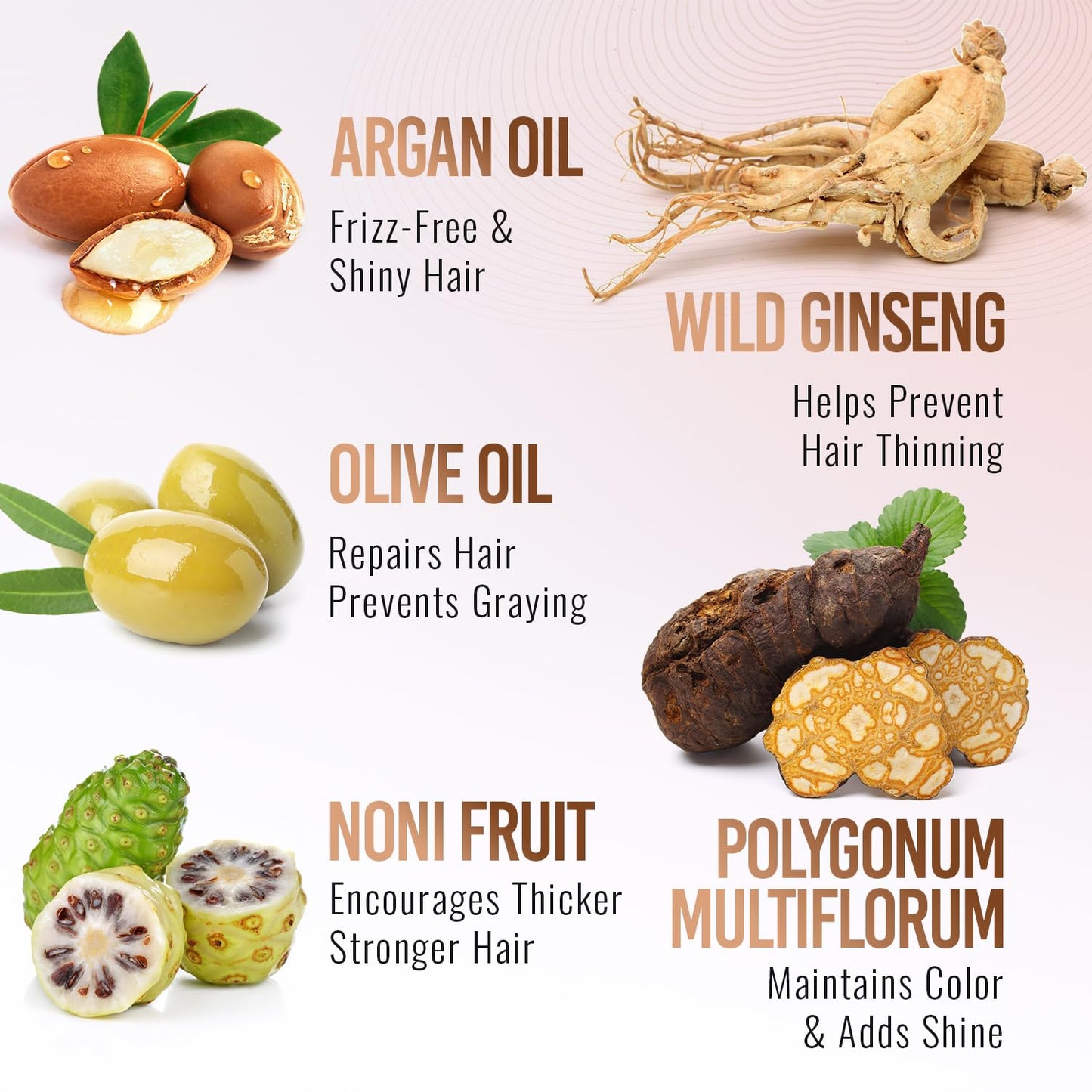 Herbishh Hair Color Shampoo for Gray Hair–Natural Hair Dye Shampoo with Argan Hair Mask–Travel size-Colors Hair in Minutes–Long lasting colour–10pack+1pack–Ammonia-Free (Light Brown)