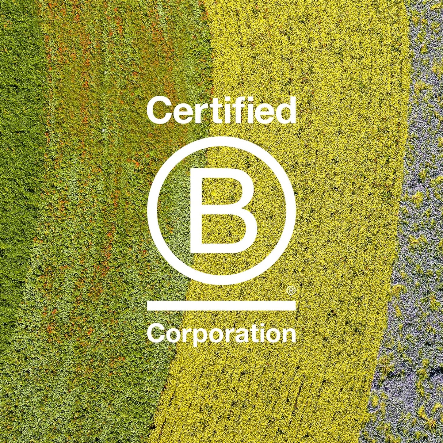 Davines LOVE Curl Shampoo | Wavy & Curly Hair Shampoo | Smooth and Moisturize Curls with Almond Extract | 8.45 fl oz