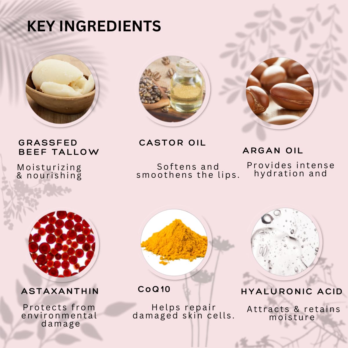 Natural Lip Balm - 100% Grass-fed Beef Tallow, Argan Oil, CoQ10, Astaxanthin, Hyaluronic Acid - Moisturizing, Organic - Made in USA (Cool Rose)