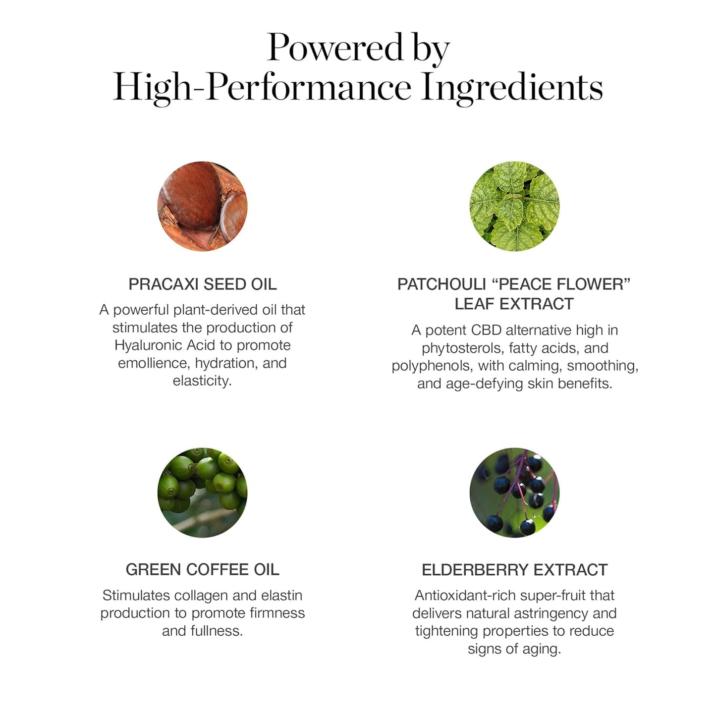 Ogee Sculpted Complexion Foundation Stick (Hazel 2.00N - Light, Golden Undertones) Full Coverage Foundation Makeup - Instantly Balance & Even Complexion - 70% Organic Ingredients