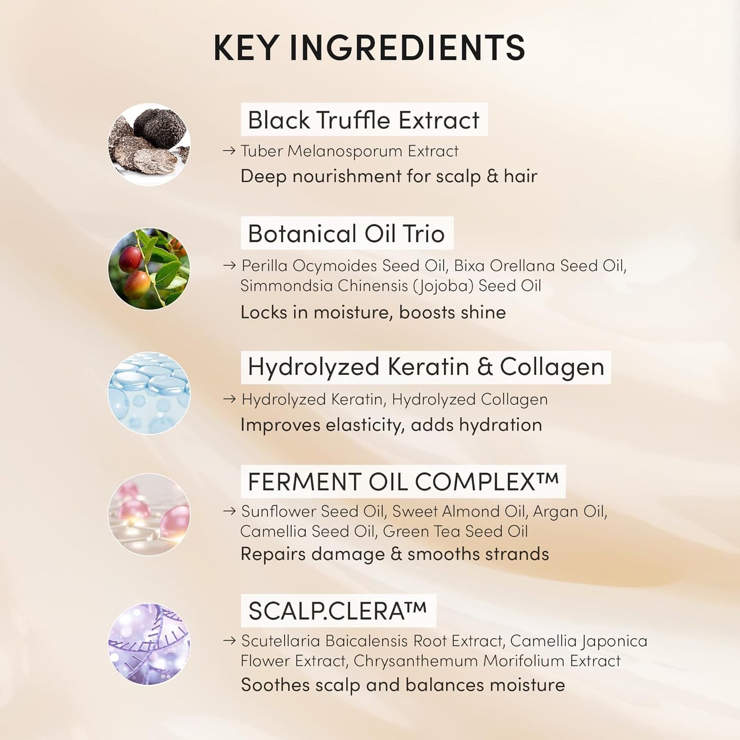 Instant Permanent Hair Color Dye Shampoo Ampoule - Paraben-Free, 5-Minute Easy and Fast Coloring, Keratin & Collagen, Made in Korea (Wine Brown)