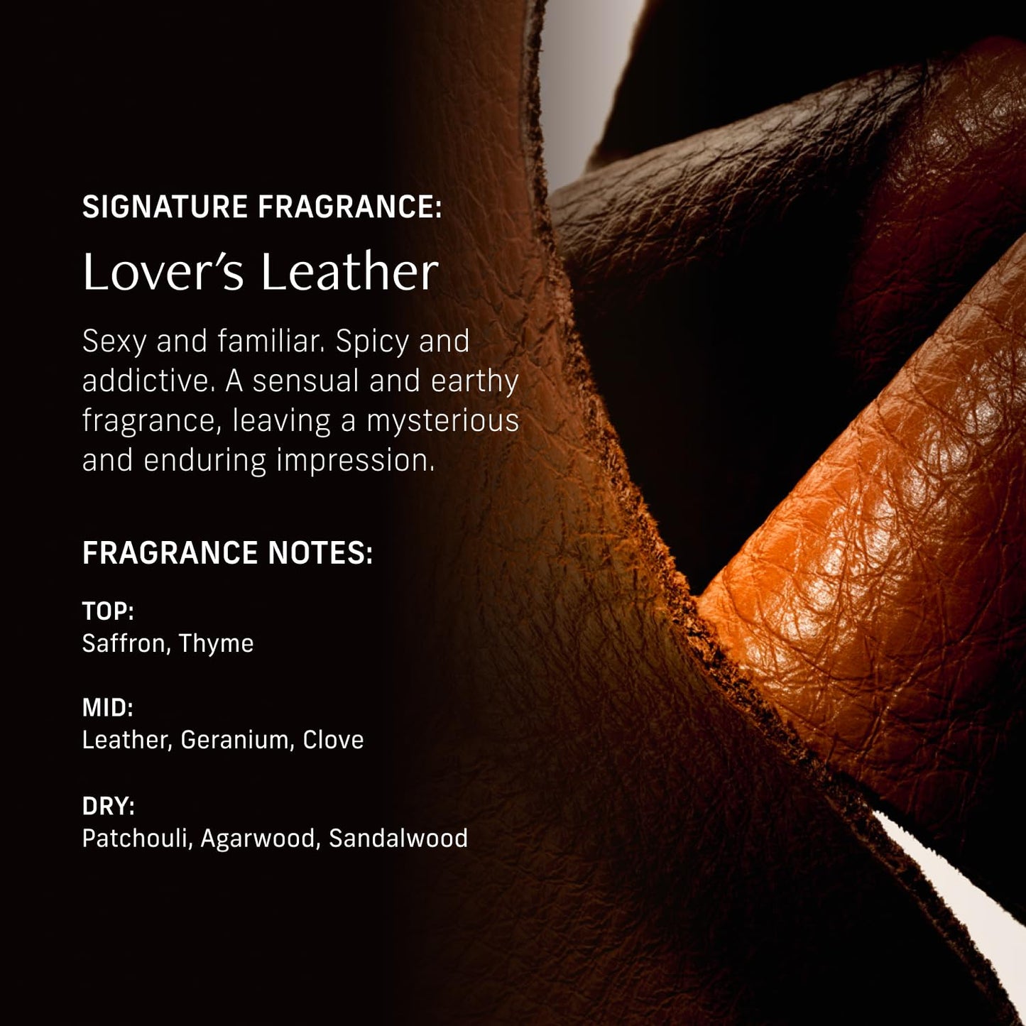 Perfume Oil Roll-On. Travel-Friendly Lover’s Leather Fragrance with Saffron, Leather, and Sandalwood. Long-Lasting Essential Oil Parfum for Women and Men. 0.5 Fl Oz Scented Rollerball Bottle