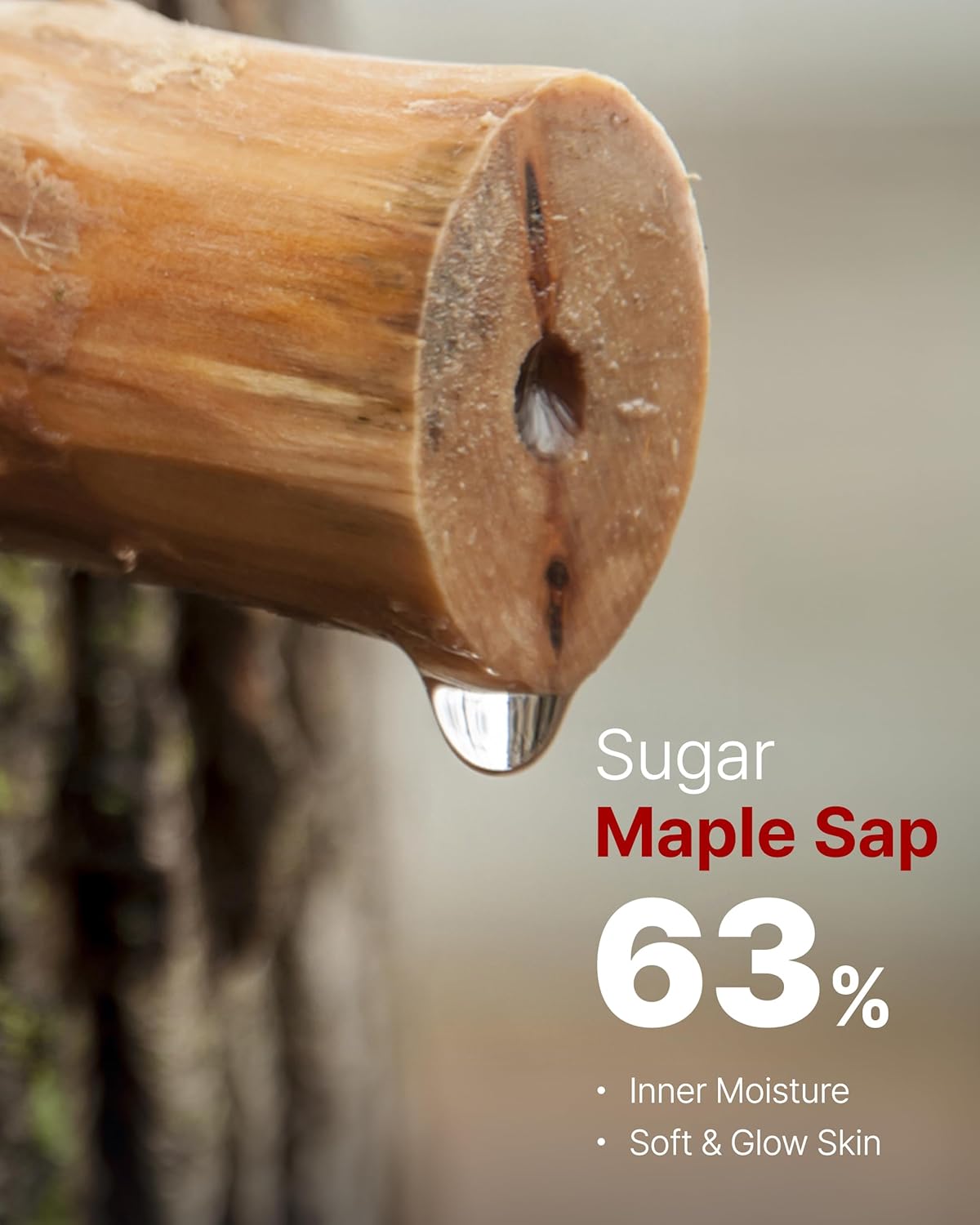 MAY COOP Raw Activator Face Serum – Hydrating & Nourishing Face Serum with 63% Maple Sap for Moisture - Anti Aging Skin Vitality & Glow - Korean Skincare, 2.02 fl.oz.