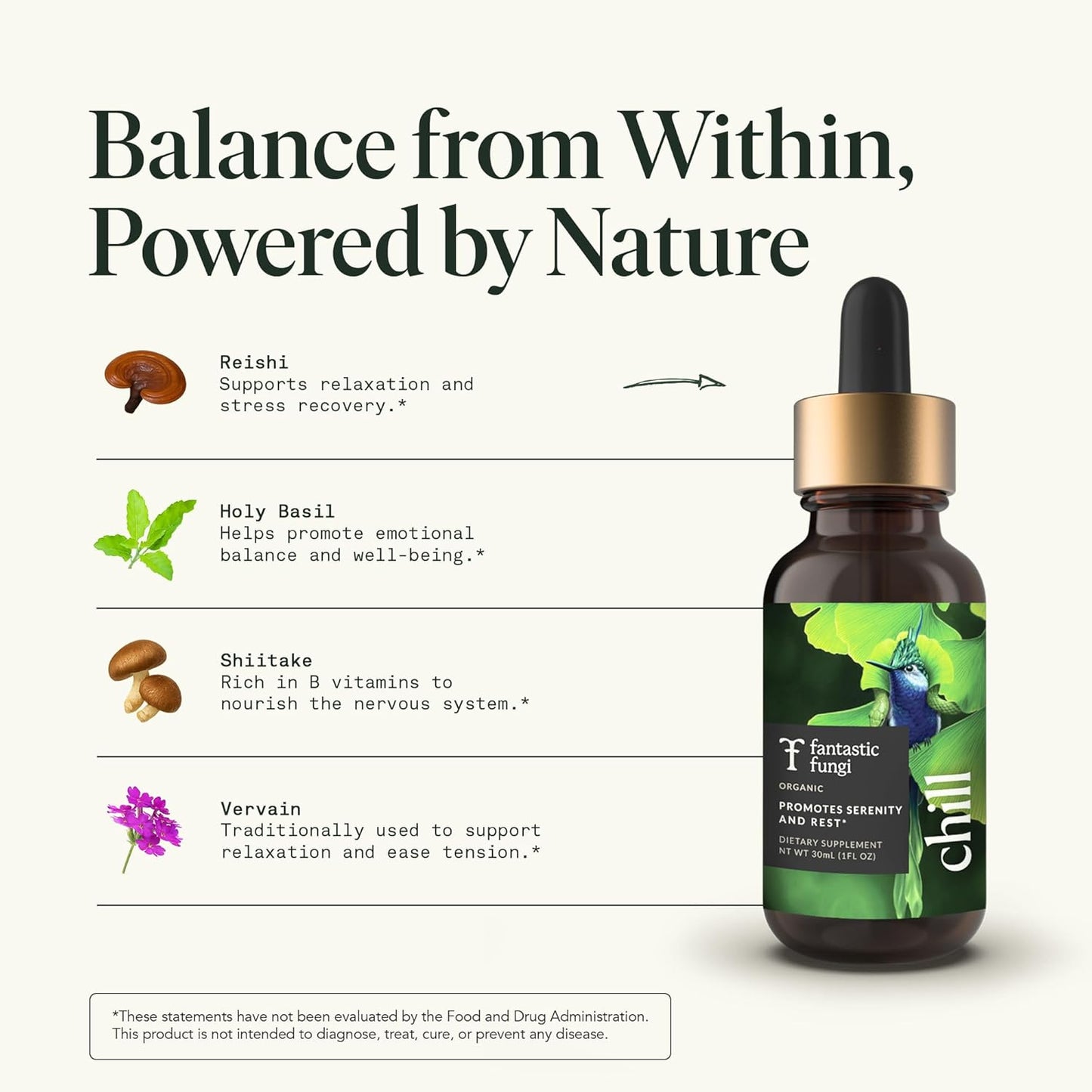 Reishi Mushroom Extract Drops Fantastic Fungi Chill Elixir, 4-in-1 Mood Support Supplement w/ Holy Basil & Shiitake Mushrooms for Relaxation & Calm | 100% Organic & Natural | 30 Servings, 1 fl oz