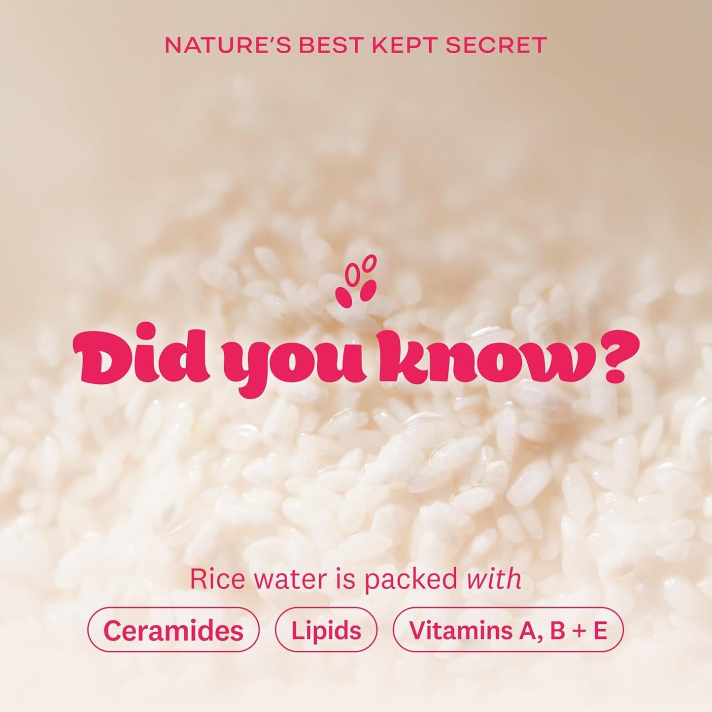 The Face Shop Rice Water Bright Light Facial Cleansing Oil, Daily Makeup Remover, Oil Cleanser, Vegan, Korean Skin Care with Jojoba Oil, Face Pore Cleanser, 150ml