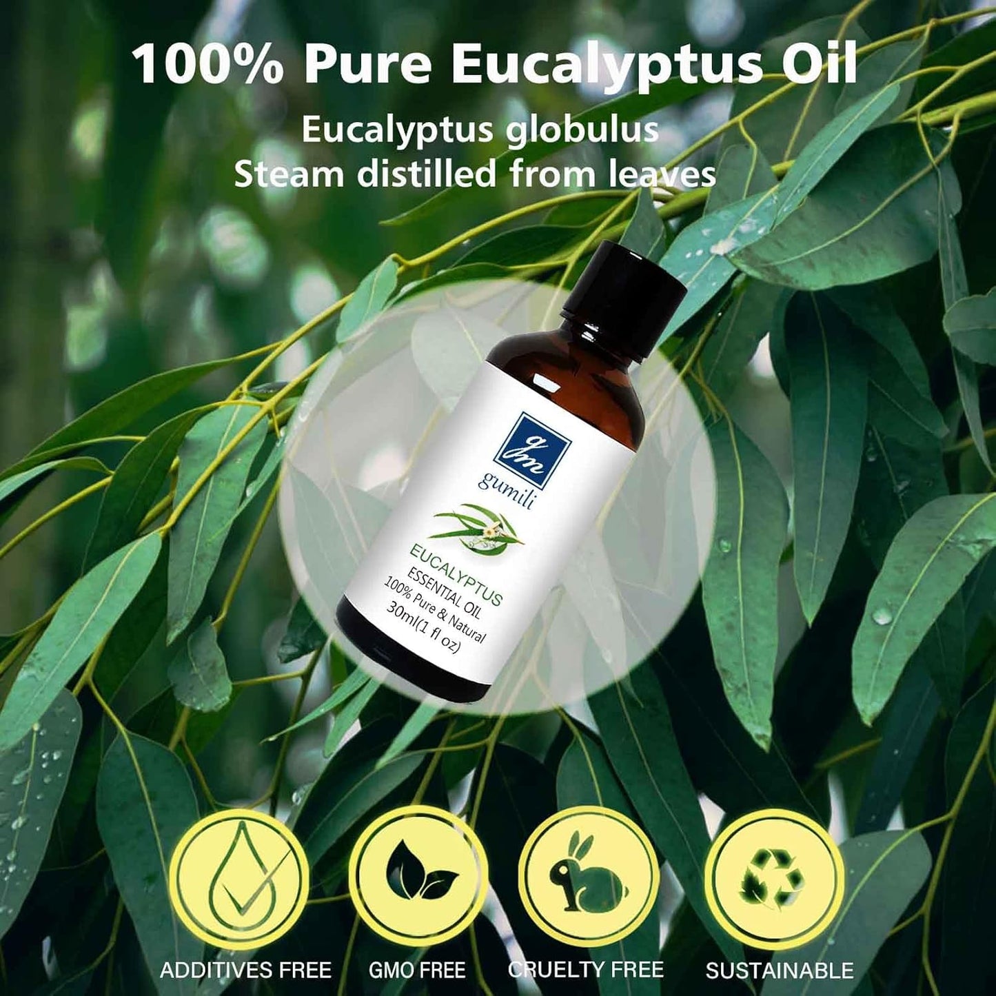 Eucalyptus Essential Oil 1 Oz, 100% Pure Natural Eucalyptus Oil, Aromatherapy Essential Oils for Diffuser, Spray, Skin, DIY Body Oils Blends