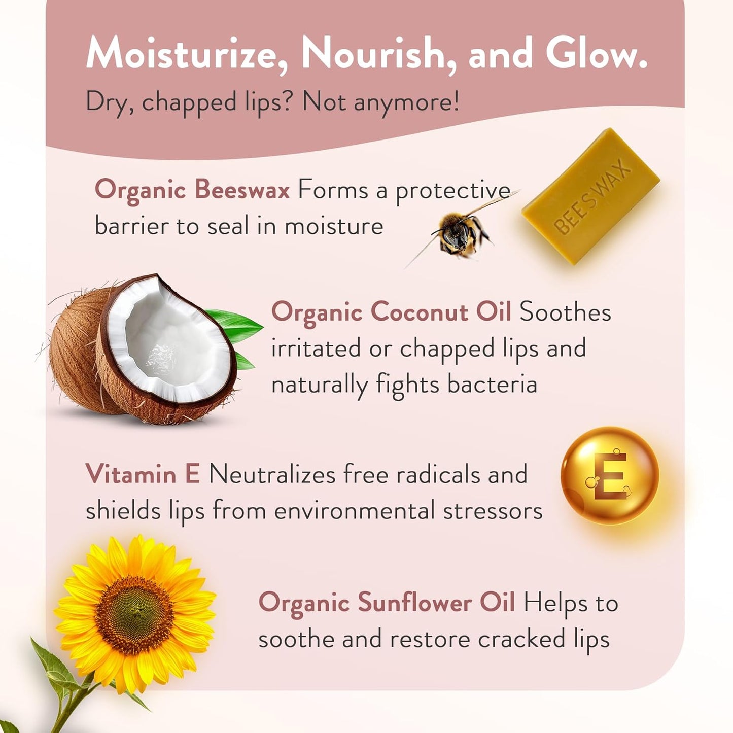 Moroccan Magic Organic Lip Balm Variety 3 Pack | Rose, Peppermint Eucalyptus, Lemon Thyme | Ultra Hydrating Argan and Essential Oils | Smooth Application | Non-Toxic Cruelty Free | Natural Gift Set