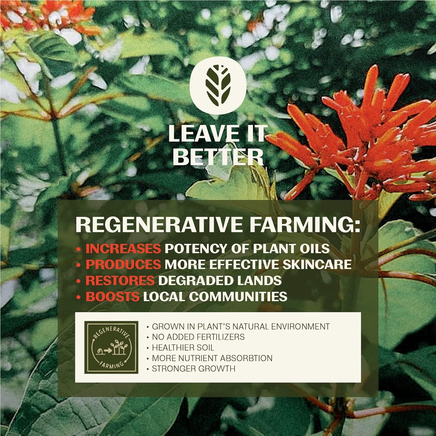 Thrive Natural Care Mineral Face Sunscreen for Sensitive Skin SPF 30, 2 Ounces - Moisturizing Unscented Sunscreen for Face - Broad Spectrum with Clear Zinc Oxide - Vegan