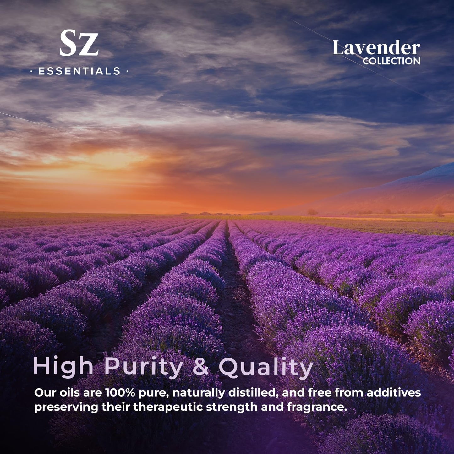 Lavender Essential Oils Collection - Grasse Lavender + High Altitude + Kashmir - Set of 3 Bottles (0.22 Fl Oz - 6.5ml Each)- 100% Pure, Natural & Undiluted - Therapeutic Grade & Vegan