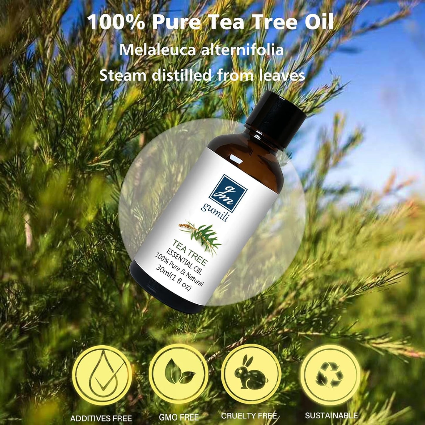 Tea Tree Oil for Skin, Hair, Nail Fungus, Face Body Wash, Foot Soak, Spray, 100% Pure Tea Tree Essential Oil - 30ml