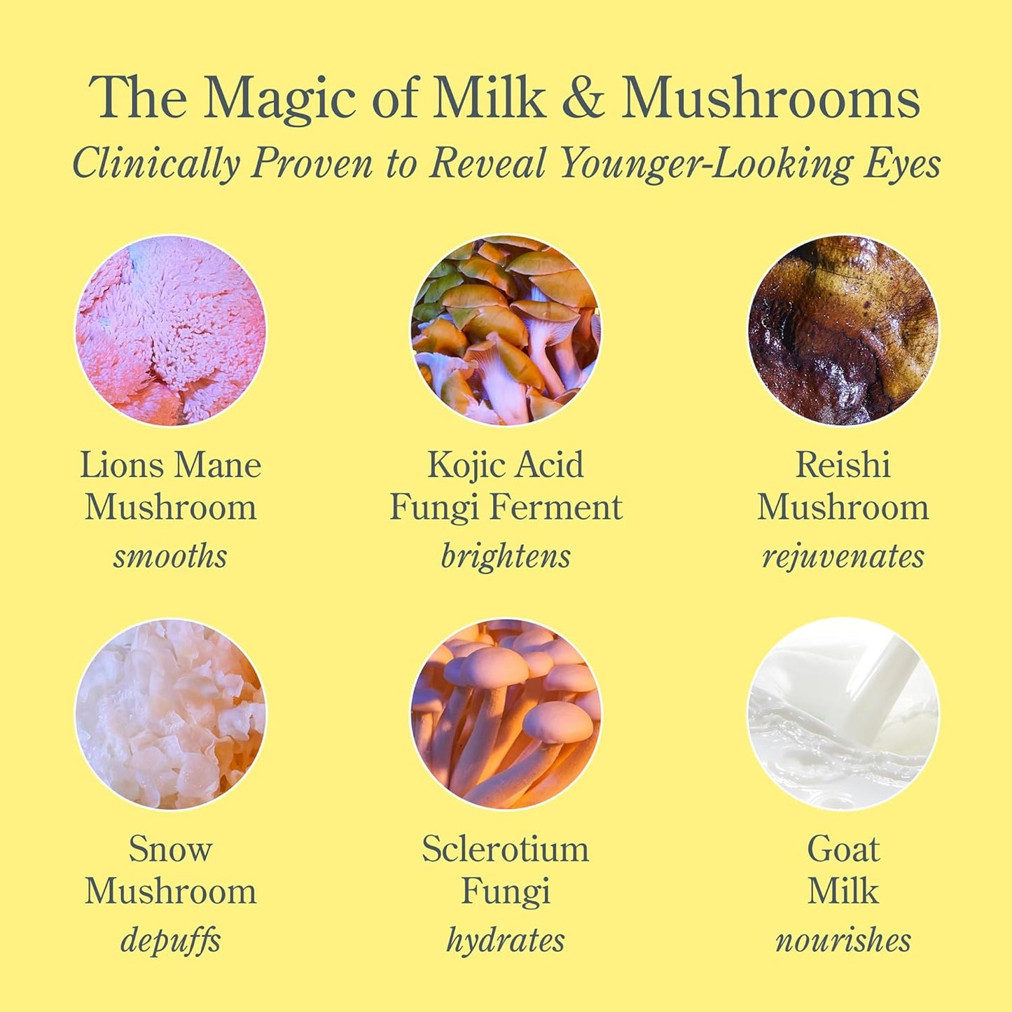 Beekman 1802 Mushroom Goat Milk Eye Cream - Clinically Proven Anti-Aging Eye Treatment for Dark Circles & Fine Lines - With Kojic Acid, Hexapeptide & Mushrooms - Fragrance-Free, Cruelty-Free