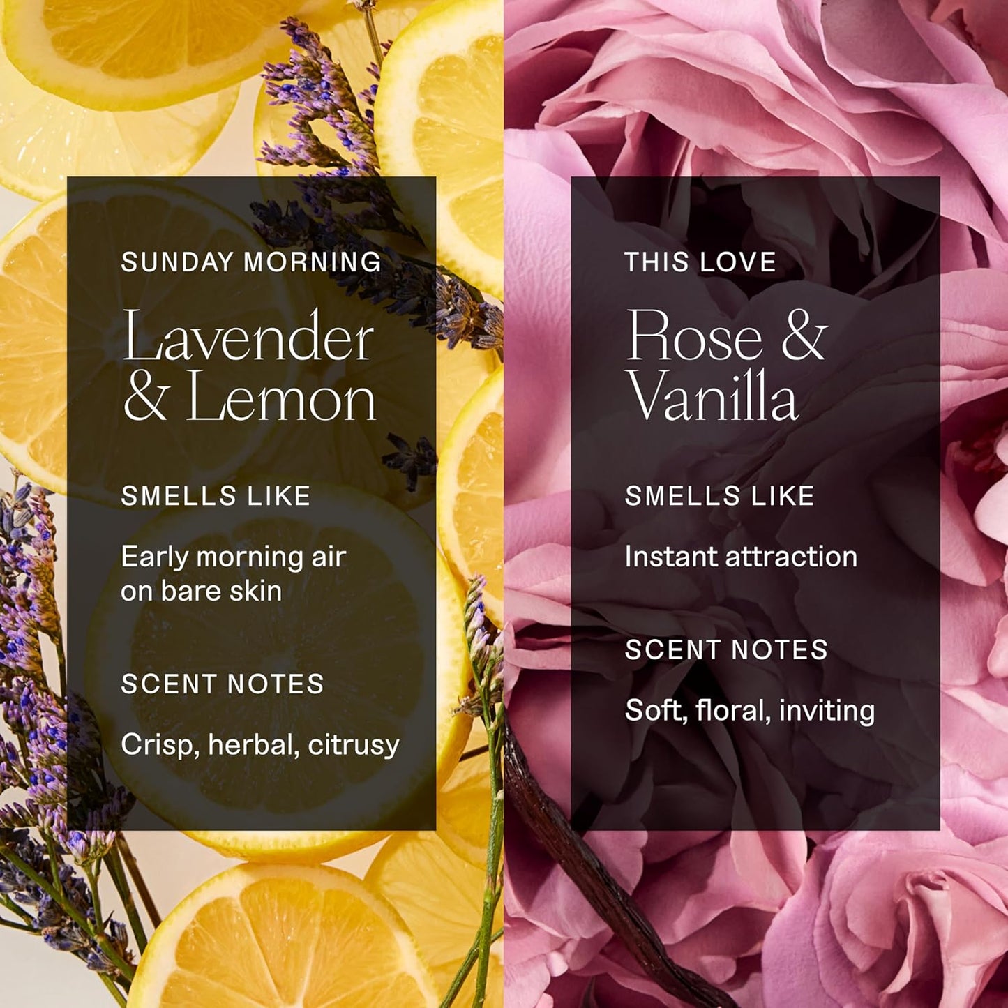 Each & Every Aluminum Free Deodorant for Women & Men, Lavender & Lemon + Rose & Vanilla - All Natural Deodorant for Sensitive Skin, EWG Verified - Clean, Baking Soda-Free, Plant-Based - 2.5oz, 2 Pack