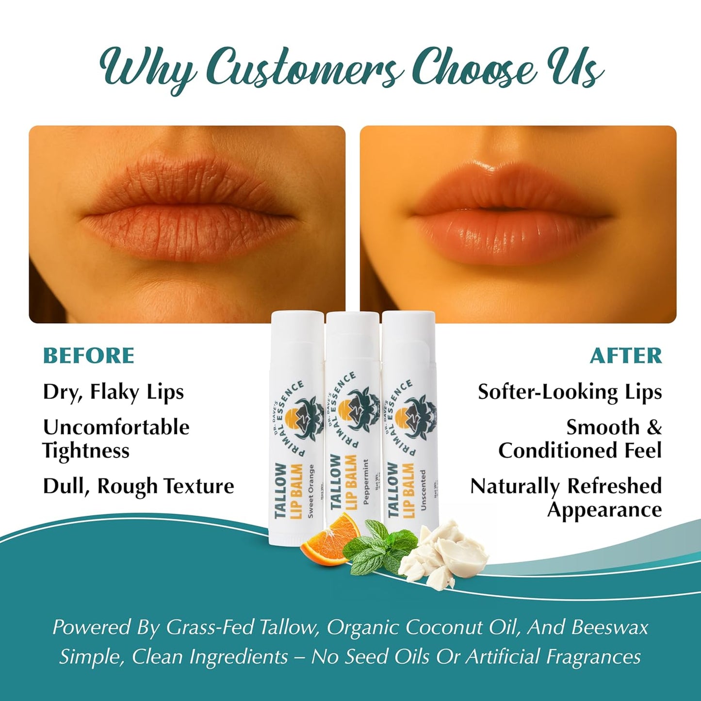 Moisturizing Tallow Lip Balm – Grass-Fed Beef Tallow with Organic Coconut Oil, Beeswax, and Vitamin E – Lip Balm Set – Variety Pack – Travel Essential – 3-Pack