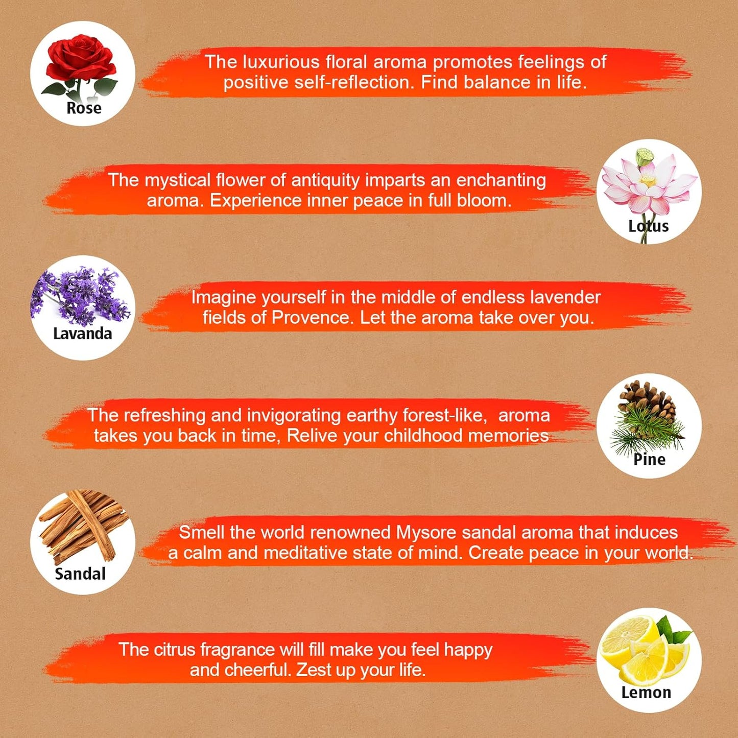 Incense Sticks Variety Pack-240 Insence-Sticks (12Incents x 20 Insense) -White Sage Palo Santo Dragons Blood Sandalo-Natural Inscents-Sticks Non Toxic Cleansing Incienso＋Slow Burning Inscents